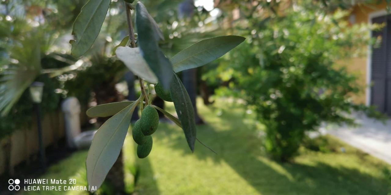Maresole Tra L'Etna E Taormina Lejlighed Mascali Eksteriør billede