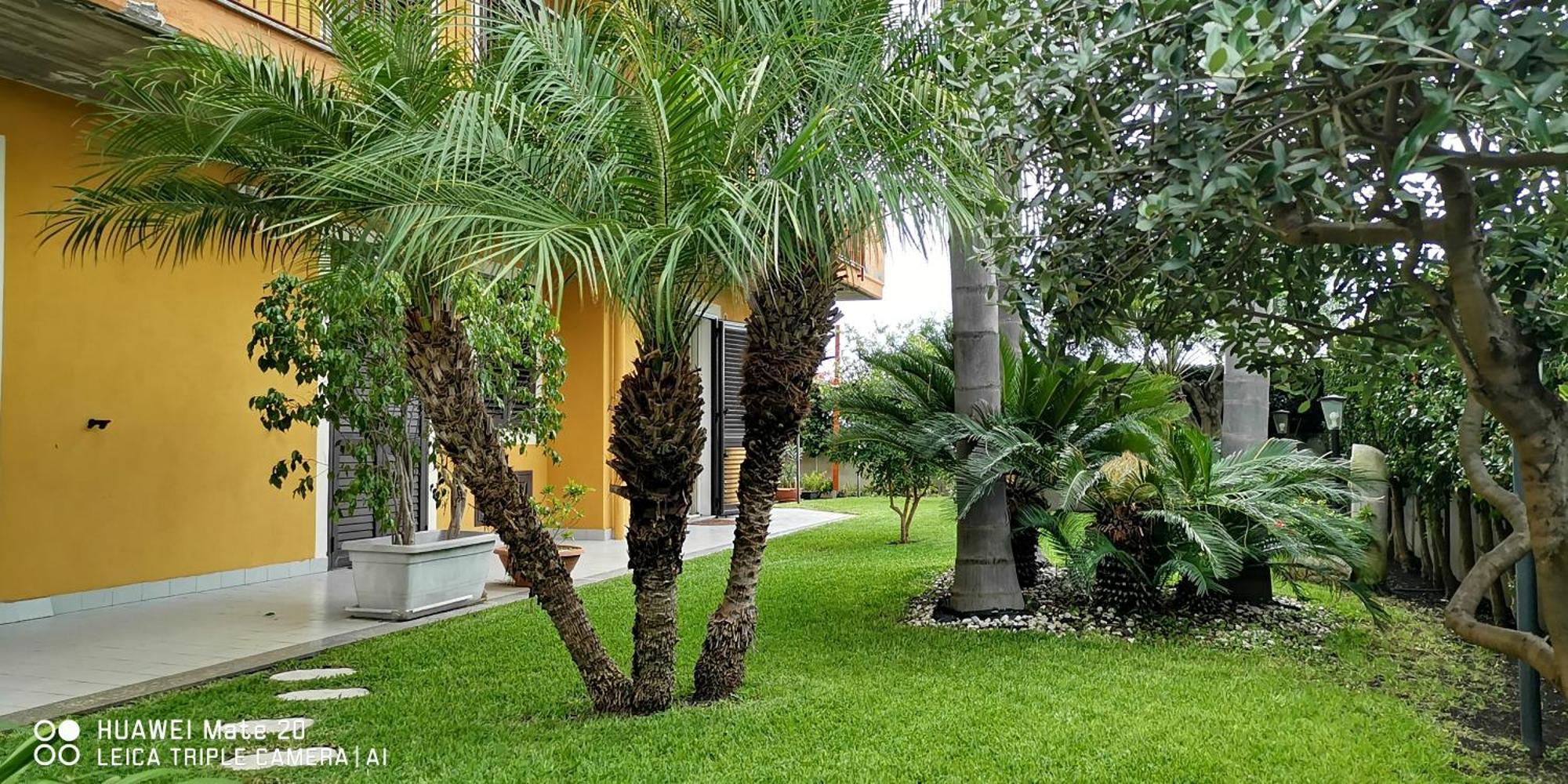 Maresole Tra L'Etna E Taormina Lejlighed Mascali Eksteriør billede