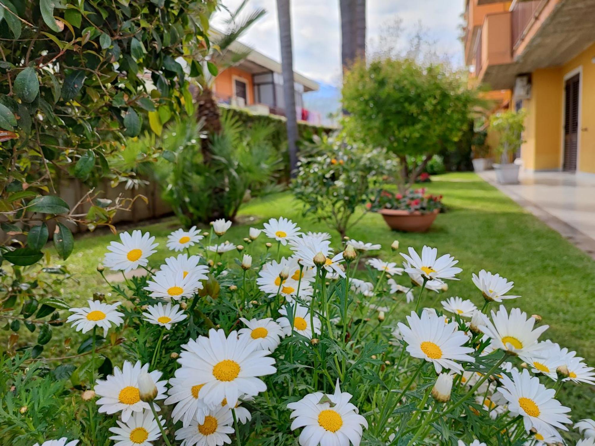 Maresole Tra L'Etna E Taormina Lejlighed Mascali Eksteriør billede
