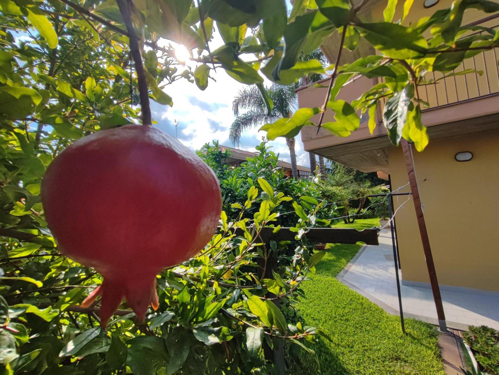 Maresole Tra L'Etna E Taormina Lejlighed Mascali Eksteriør billede